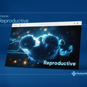 ریپروداکتیو|Reproductive
